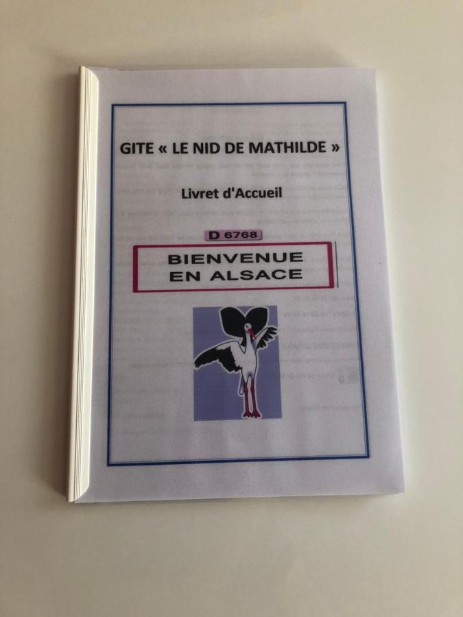 Апартаменти Le Nid De Mathilde- 3 Etoiles Кольмар Екстер'єр фото